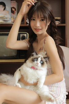 沉默的真相在线观看免费完整版